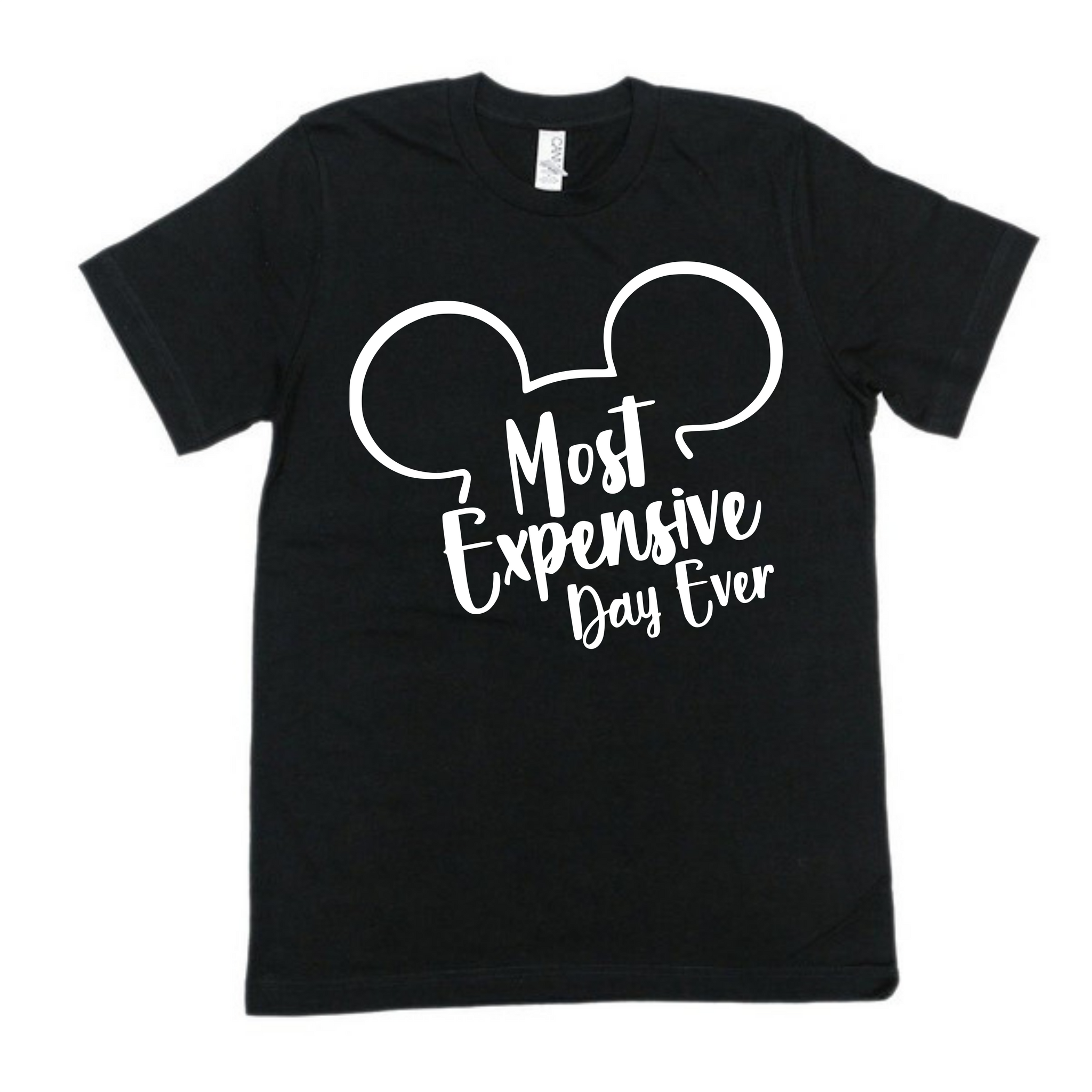 MOST EXPENSIVE DAY EVER ADULT SHIRT